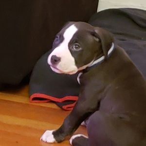 Meet your Posher, Rolando